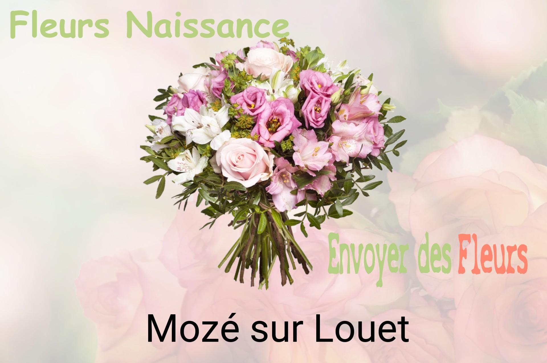Bouquet de fleurs de naissance livré à Mozé-sur-Louet
